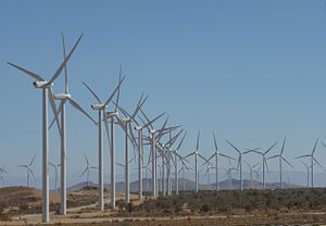 Wind Farm