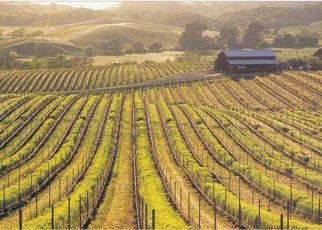 Napa Valley winery