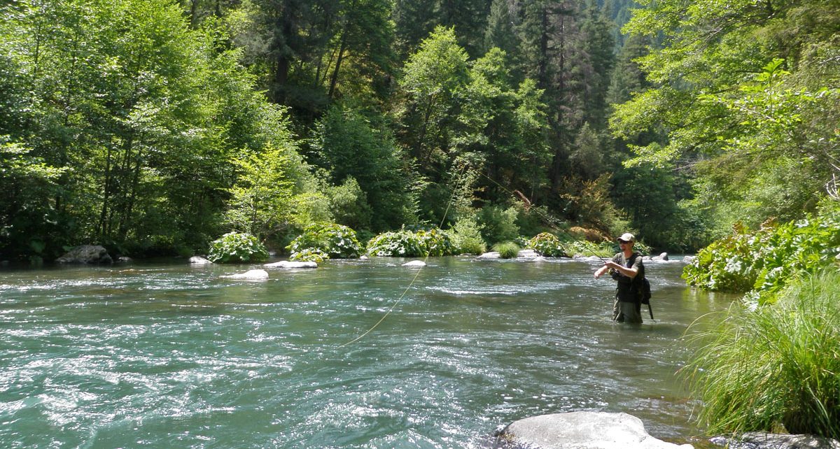 CA Department of Fish and Wildlife Commissioner Wants to Close Sportfishing  Season Due to COVID-19 – California Globe