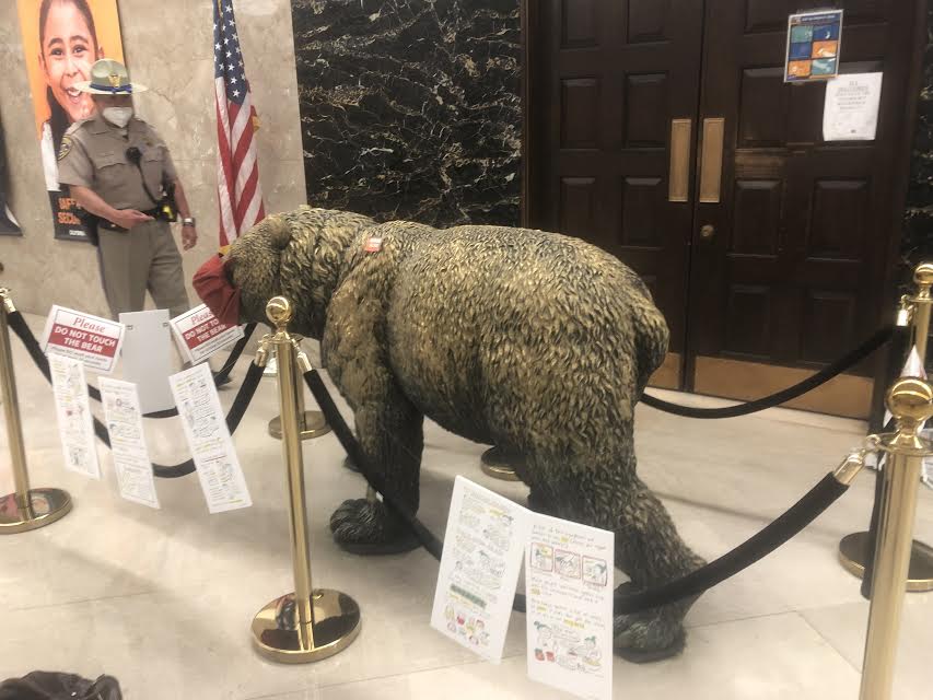 Animal - California Grizzly Bear - California State Capitol Museum