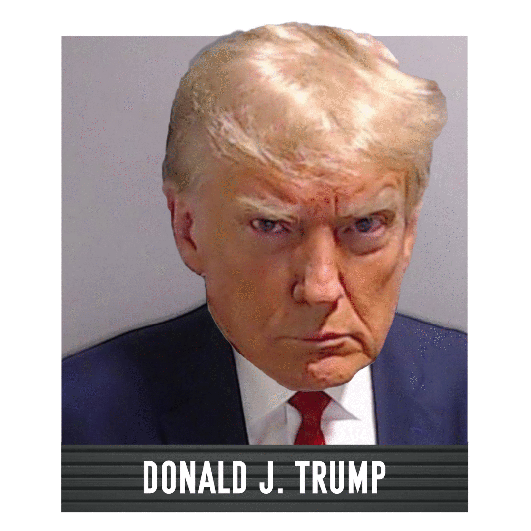 National Bobblehead Hall of Fame animation of Donald Trump mugshot.